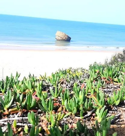 Caracola Beach Matalascanas Exterior photo